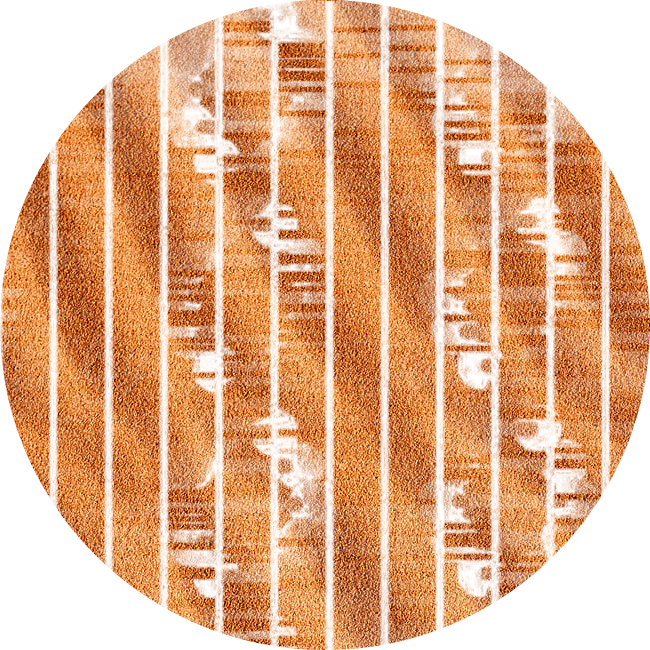 DNA Sequencing